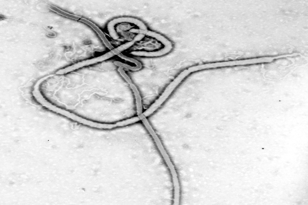 821 passengers being tracked for Ebola: Health Ministry