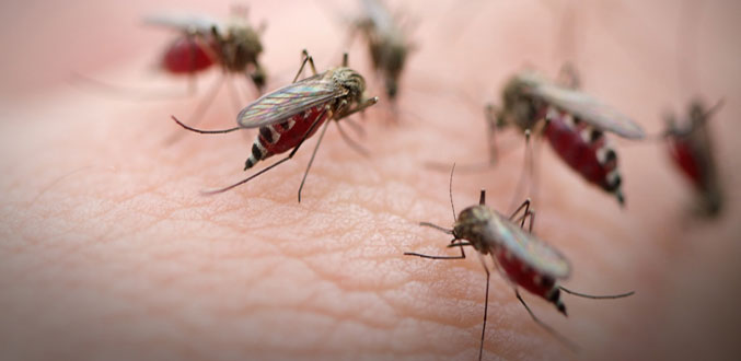 World Malaria Day: UN seeks near zero preventable deaths
