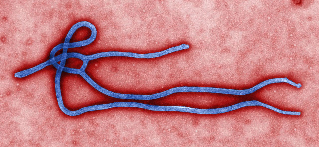 Cabinet Secretary holds review meeting on Ebola Virus Disease 