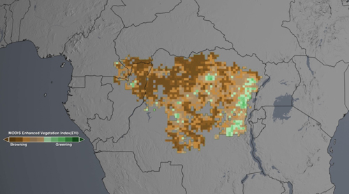 NASA satellites show drought may take toll on Congo rainforest
