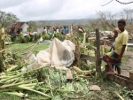 Vanuatu: UN finds 'extensive' loss of agriculture; full scale of damage still to be revealed