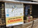 UN: cholera outbreaks can be controlled thanks to vaccines, water and sanitation