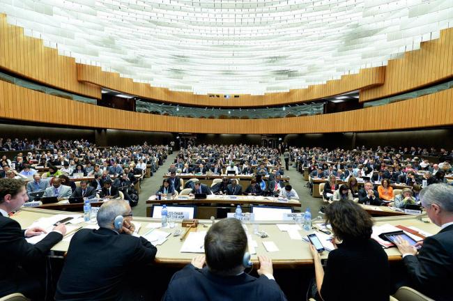 States agree key document on route to climate change agreement â€“ UN