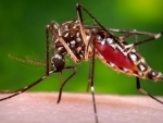 South Korea: 6th Zika case confirmed