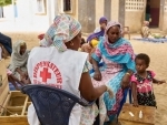 Malaria remains acute public health problem in sub-Saharan Africa â€“ UN report