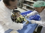 Flowering Zinnias on space station set stage for deep-space food crop research