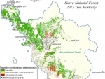 NASA maps California drought effects on Sierra Trees