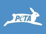 PETA calls on National Green Tribunal to ban 'manja' nationwide