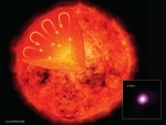 Astronomers gain new insight into magnetic field of Sun and its kin