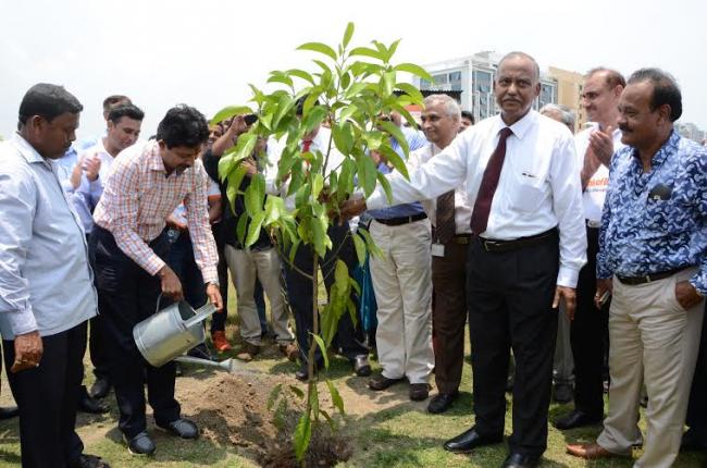 Bank of Baroda plants 109 trees to celebrate its 109th Foundation Day
