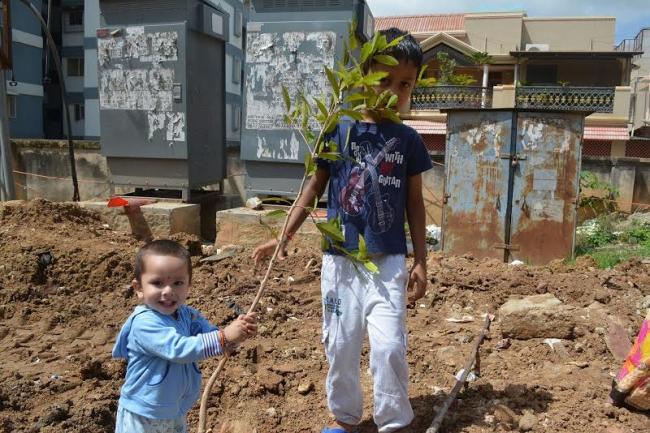 Bengaluru: Residents team up to plant saplings