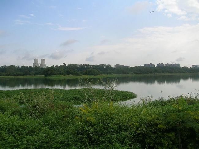 Govt approves measures for conservation of lakes in Bengaluru 