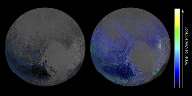 Pluto's widespread water ice