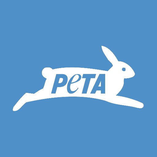 PETA calls on National Green Tribunal to ban 'manja' nationwide