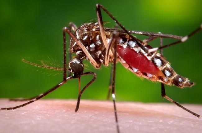  RB pledges $1 million Zika relief package to fight spread of virus