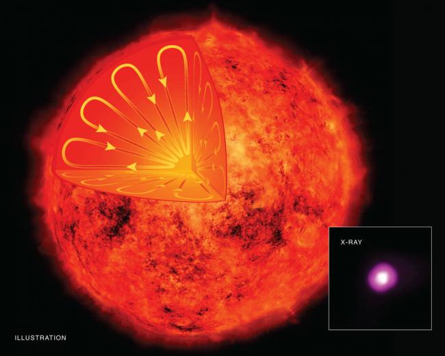 Astronomers gain new insight into magnetic field of Sun and its kin