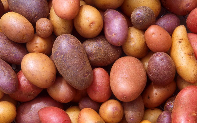 Diabetics welcome Ontario-grown low Glycemic Index potatoes