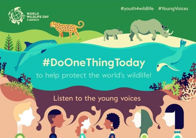 World Wildlife Day 2017: Guiding the youth towards nature conservation