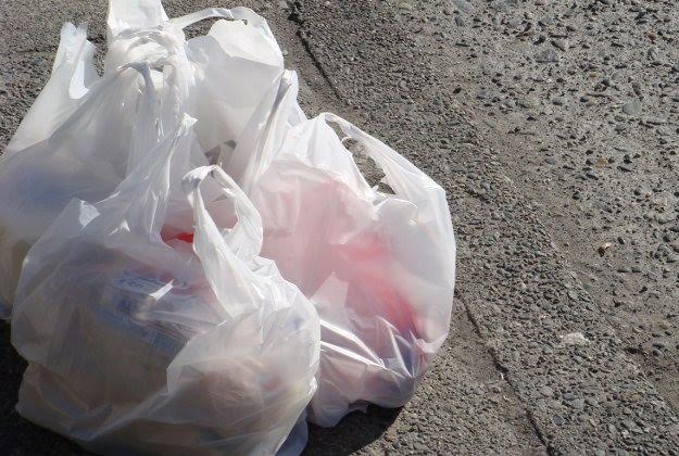 Madhya Pradesh bans use of plastic carry bags from May 1