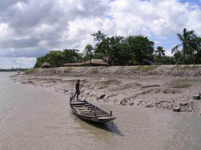 Sundarbans: Life in the delta
