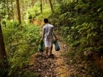 Importance of broad financing for sustainable forest management highlighted at UN forum