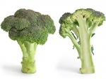 Daily leafy greens may slow cognitive decline, finds study