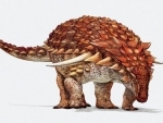Despite heavy armor, new dinosaur used camouflage to hide from predators