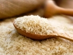 Breakthrough in efforts to â€˜superchargeâ€™ rice and reduce world hunger, finds study