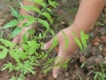 Environment Minister launches month-long Van Mahotsav to raise awareness about tree plantation 
