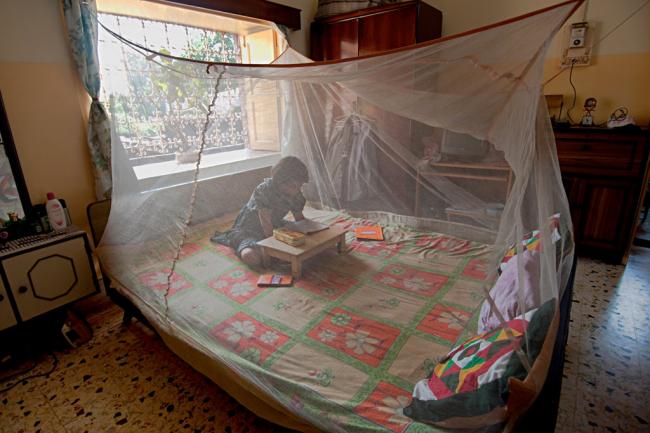 Global response to malaria at crossroads: WHO