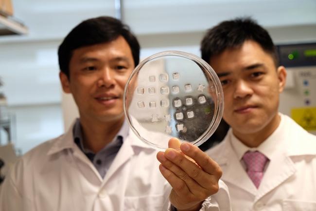 New patch aims to turn energy-storing fats into energy-burning fats
