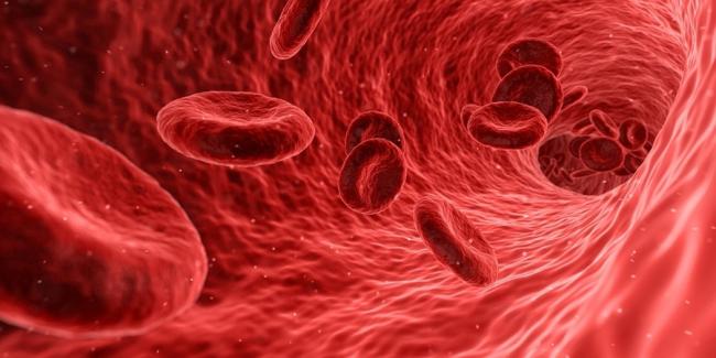 University of Birmingham scientists name 'Connshing syndrome' as a new cause of high blood pressure