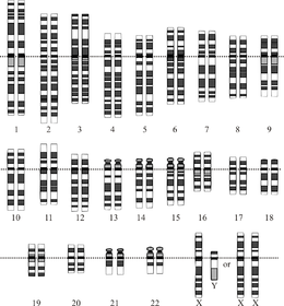 New limits to functional portion of human genome reported