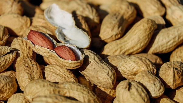 Eating nuts is linked to higher survival rates in colon cancer, says study