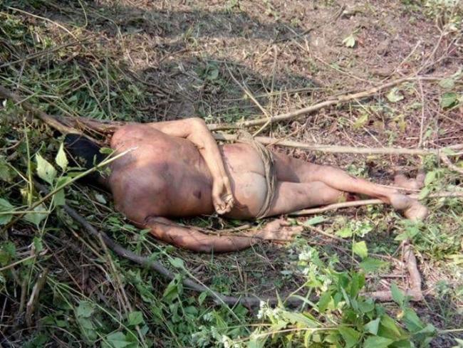Forest guard dies in rhino attack in Manas National Park