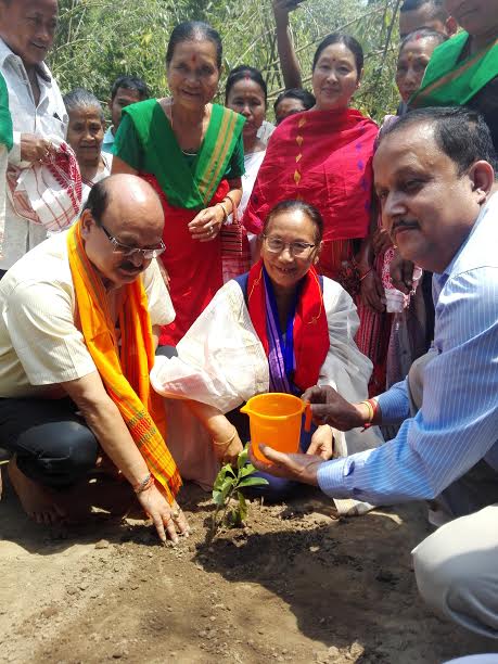 Assam forest department targets to plant 2 crore saplings this year
