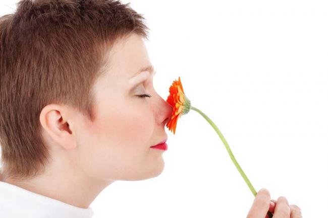 Researchers uncover new connection between smell and memory