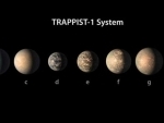 New clues to TRAPPIST-1 Planet compositions, atmospheres