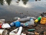 Plastic-busting fungi may help tackle pollution, climate change: UN Environment