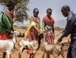 Backed by UN agency, countries set to take on deadly livestock-killing disease