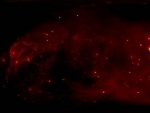 Scientists take viewers to the Center of the Milky Way