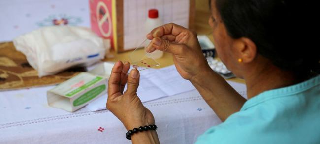 Uzbekistan wins its long fight against malaria, as global rates continue to rise