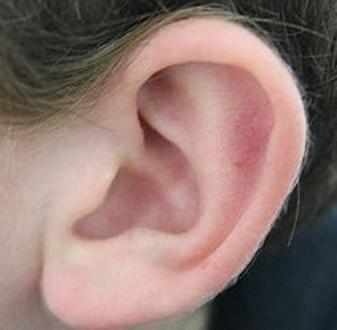 New discovery opens path to treatments for hearing loss