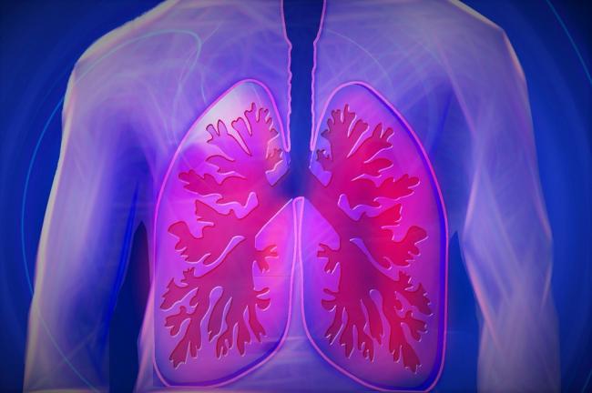 Pulmonary TB can be cured with shorter treatment, study finds