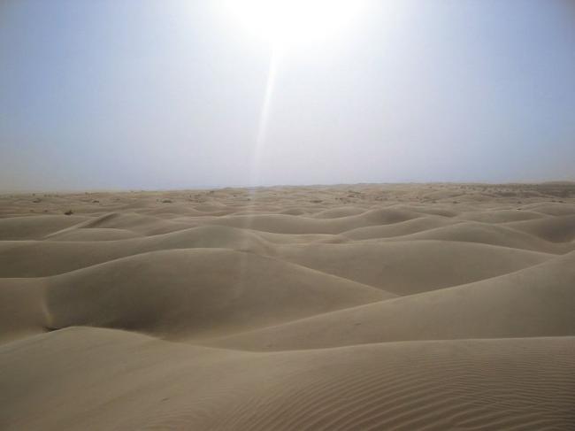 Sahara Desert is expanding, according to new UMD study