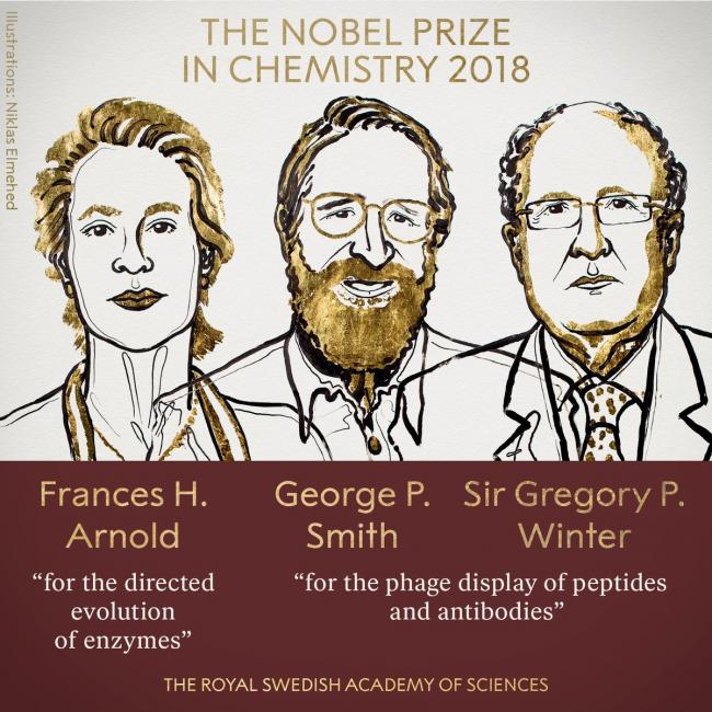 Nobel Prize in Chemistry announced, US, UK scientists win