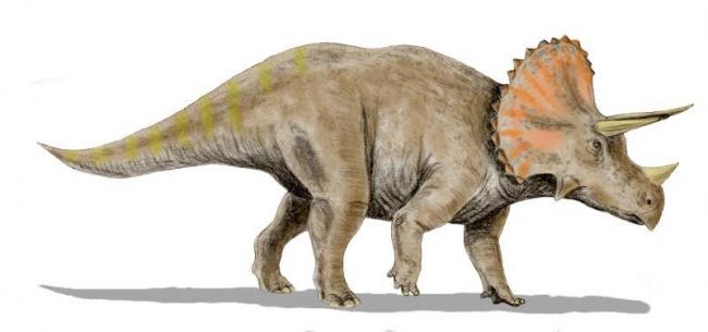 Dinosaurs were 'too successful for their own good': Study 
