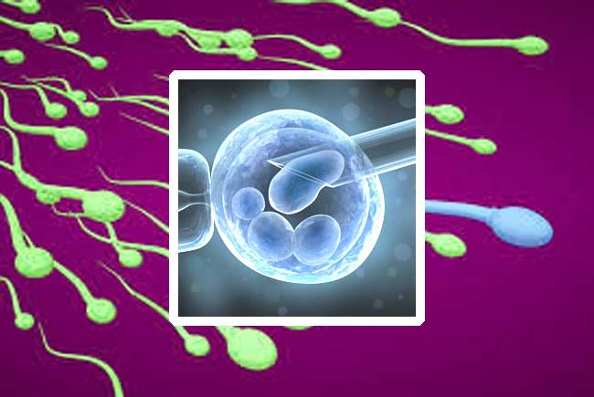 Infertility one of the rising issues nowadays
