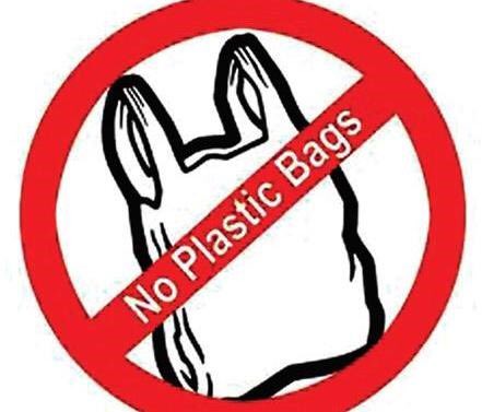 Union Ministry of Environment declares all protected areas in India as 'plastic free zone' 