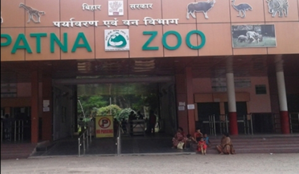 Patna zoo closed after six peacocks die from H5N1 virus